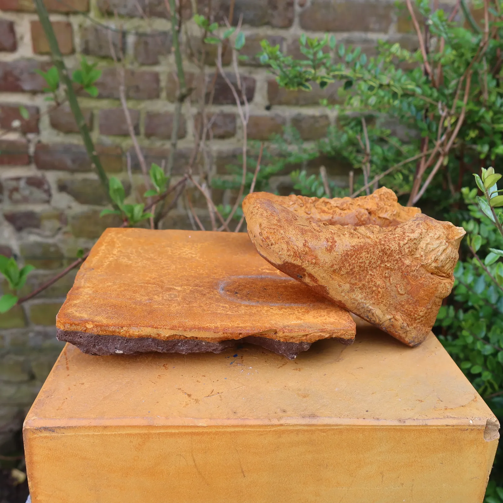 Sculpture by Michèle Vander Elst